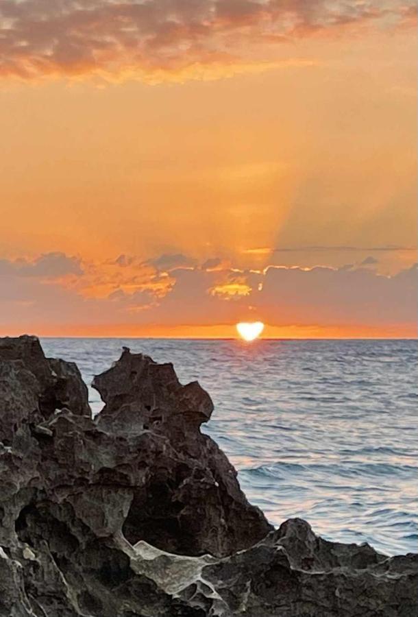 Sonrisa Soleada Lägenhet Santa Pola Exteriör bild